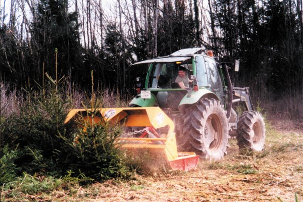 Nettoyage de terrain par gtrobroyage