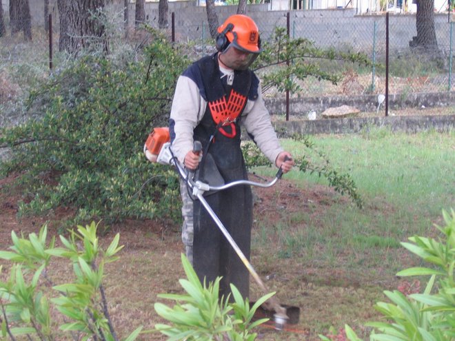 Fauchage et débroussaillage