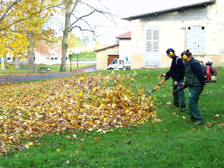 Préparation de jardin pour l'hiver