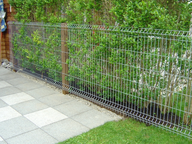 Panneau rigide Kopal