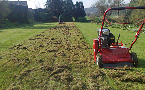 Scarification de jardin